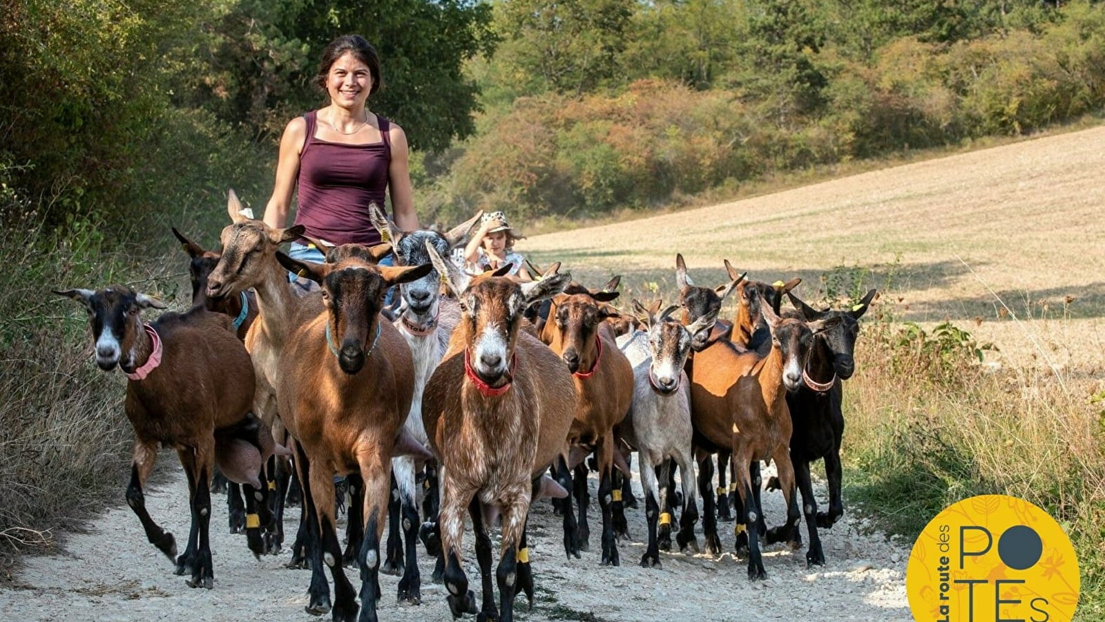 Walk with the biquettes in the hills!