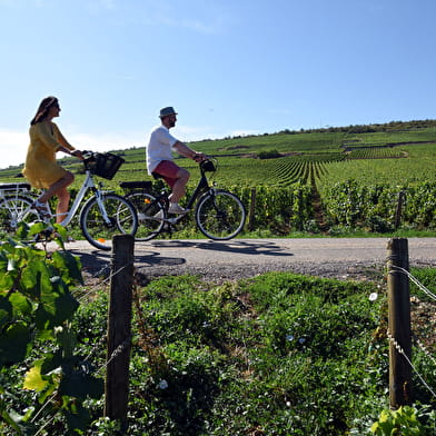 Rediscover Burgundy