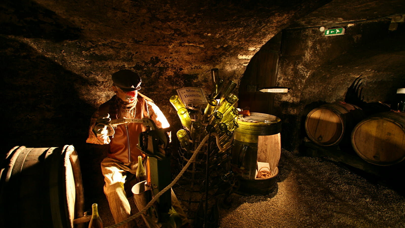 OenoCentre Ampélopsis
