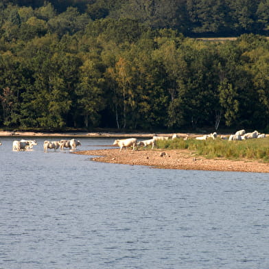 Lac de Saint-Agnan