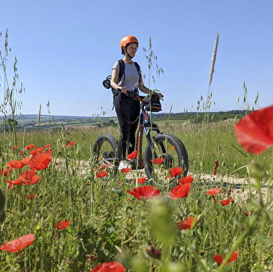 E-Trott ride in Saint-Bris-Le-Vineux - Vignobles et Sensations