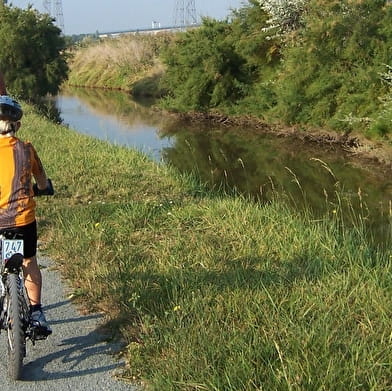 Family bike treasure hunt