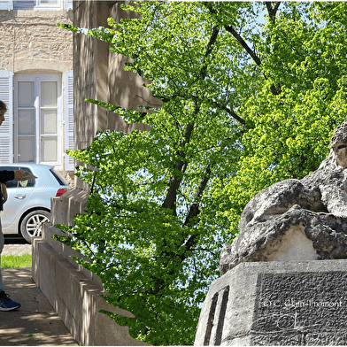 Visit and discover Beaune in the form of a treasure hunt: Guigone's Quest... 